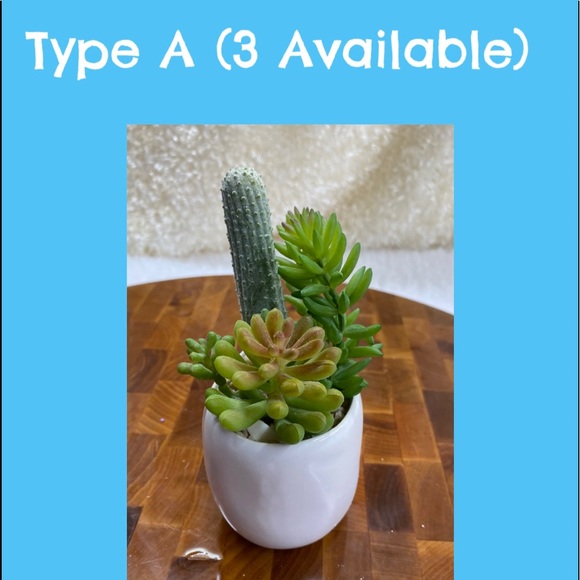 Faux succulents in 2.5”x3”H circular Pot (2 designs available). - Picture 1 of 9